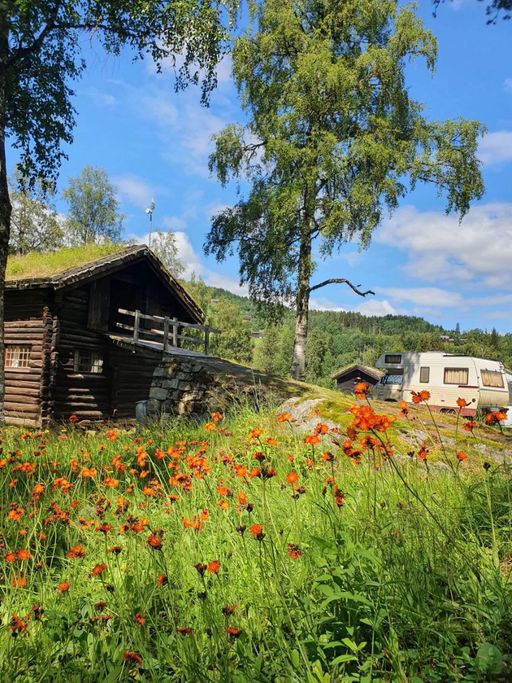 Gårdsbygg i laftet tømmer med torvtak