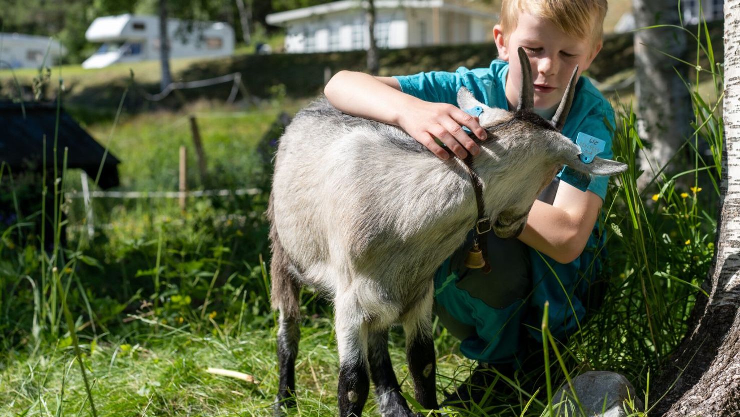 Boy with goat